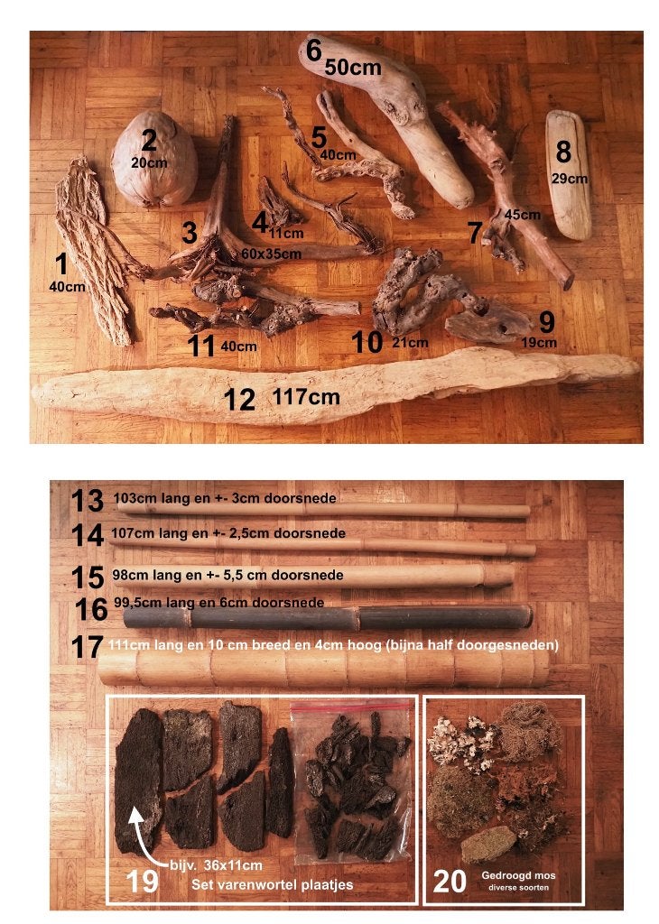 Terrarium Decoratie: Hout, Bamboe & Natuurlijke Materialen, Dieren en Toebehoren, Ophalen of Verzenden, Zo goed als nieuw, Tak, Plant, Rots of Steen