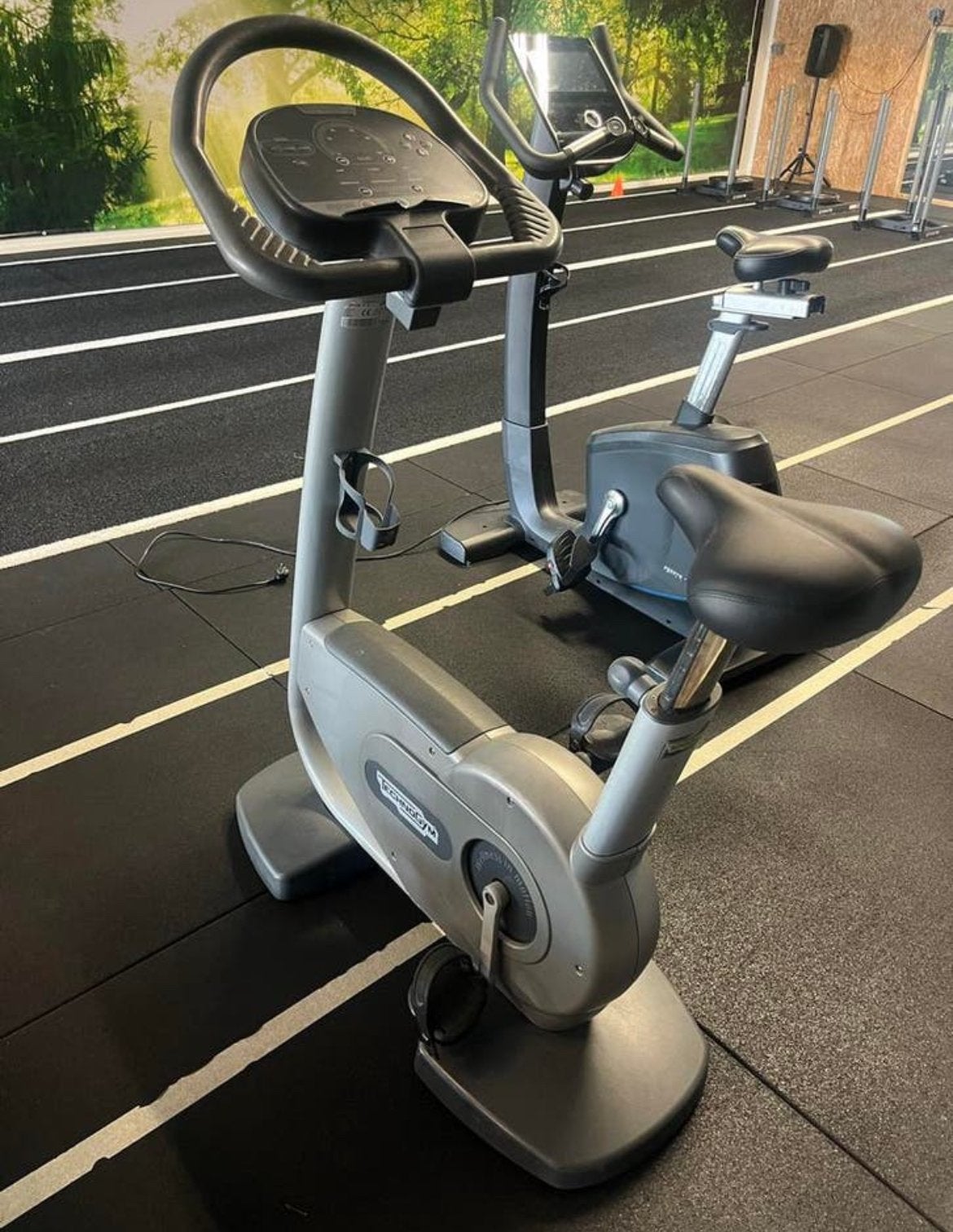 Technogym Hometrainer - Professionele Fitnessfiets, Sport en Fitness, Gebruikt, Ophalen of Verzenden, Metaal, Benen