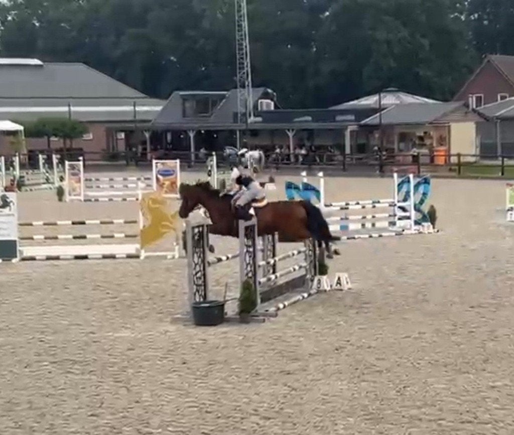Super ervaren leerpaard voor kinderen of amateur ruiter!, Dieren en Toebehoren, Paarden, Springpaard, Met stamboom, Ruin, L
