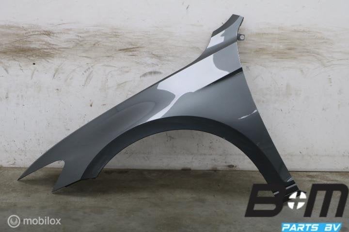 Linker voorscherm VW Passat B8 LR7H 3G0821021A, Gebruikt