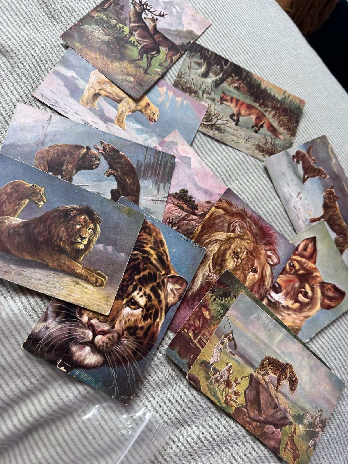 Serie antieke postkaarten met wilde dieren, Verzamelen, Ophalen of Verzenden, Voor 1920, Gelopen, Natuur