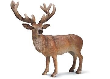 Schleich 14248 het, dierfiguur, Verzamelen, Dierenverzamelingen, Ophalen of Verzenden, Gebruikt, Hert, Beeldje of Figuurtje