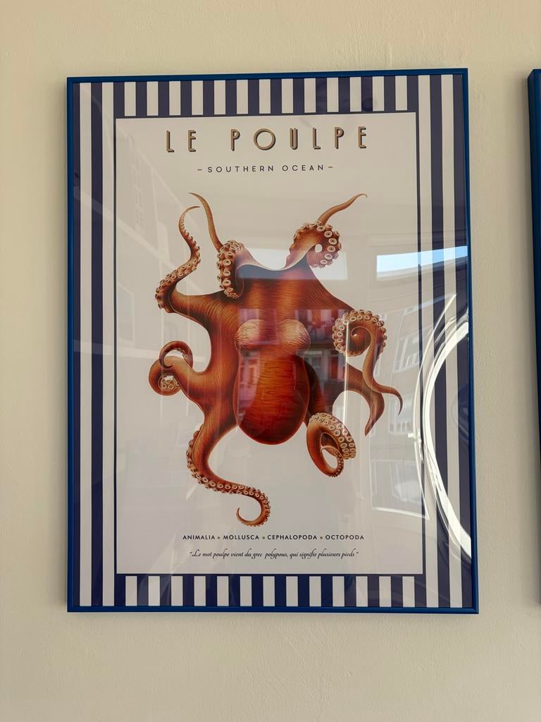 Set van 3 posters: octopus, krab en kreeft, Ophalen, Minder dan 50 cm, 50 tot 75 cm, Zo goed als nieuw