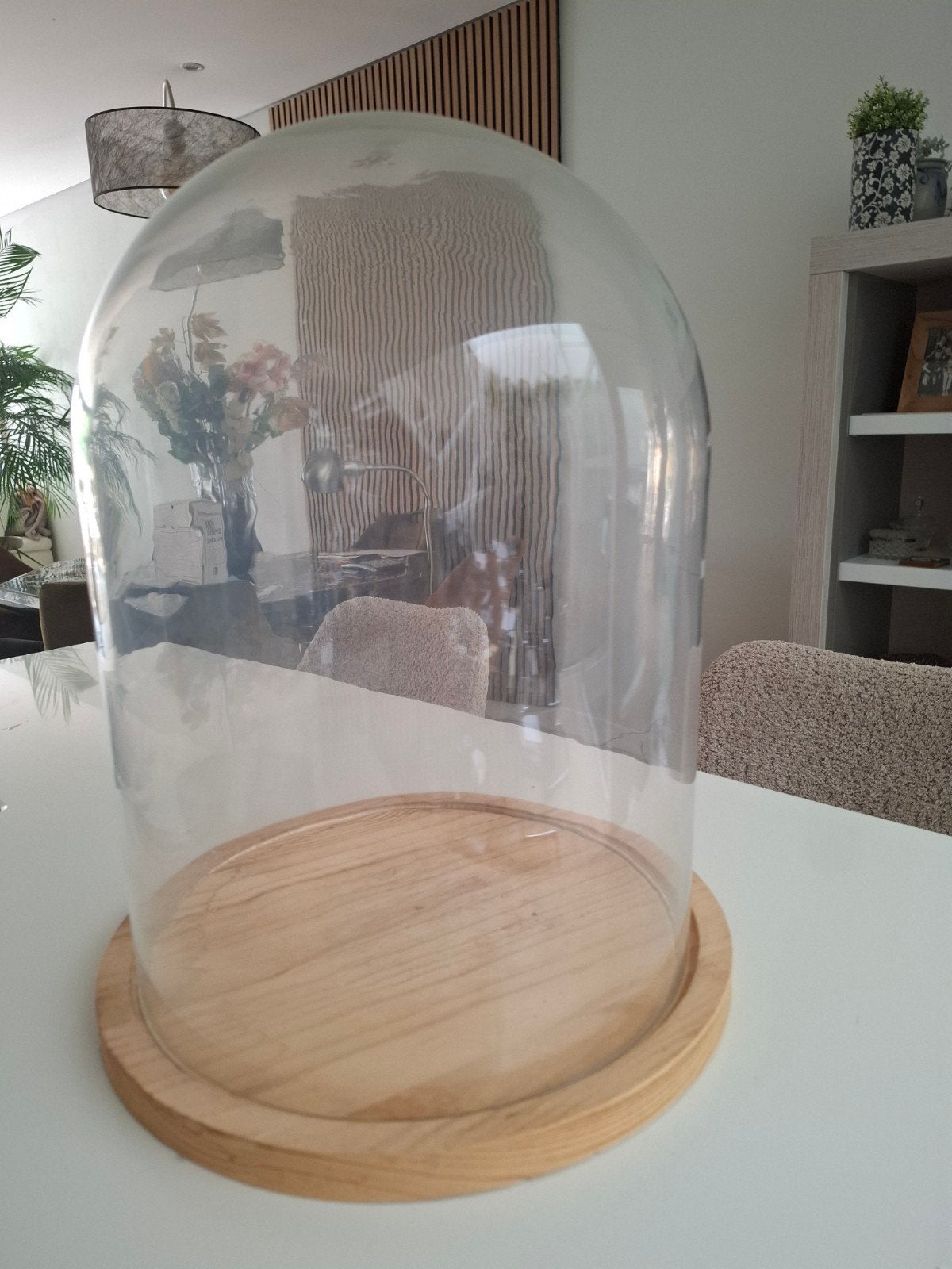 grote glazen stolp, Ophalen, Zo goed als nieuw, Met plateau, 31 cm