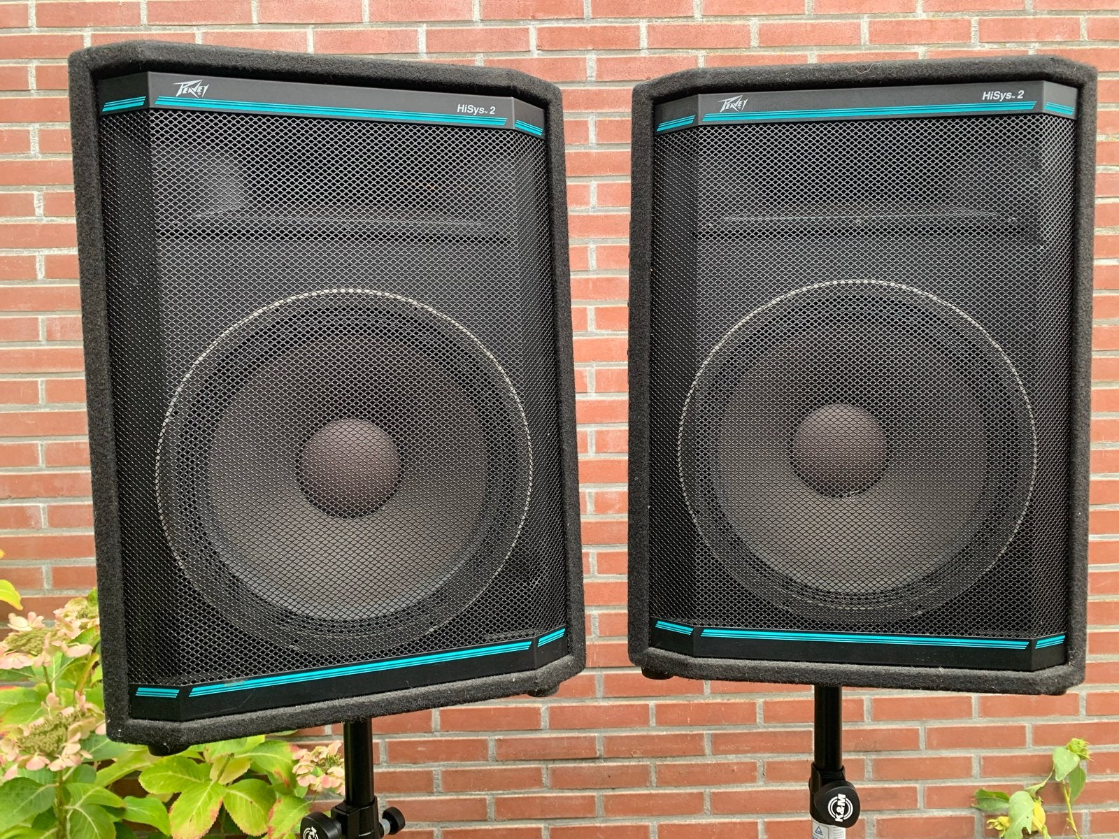 Peavey HiSys 2 PA Speakers met 15" Black Widow Woofers, Ophalen, Gebruikt, 1000 watt of meer, P.A.