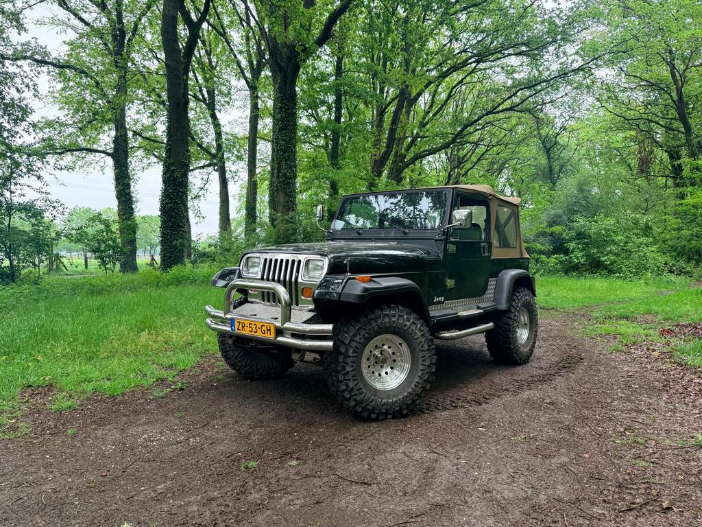 Jeep Wrangler 4.0i Softtop (bj 1990), Jeep, Leder en Stof, Zwart, Handgeschakeld
