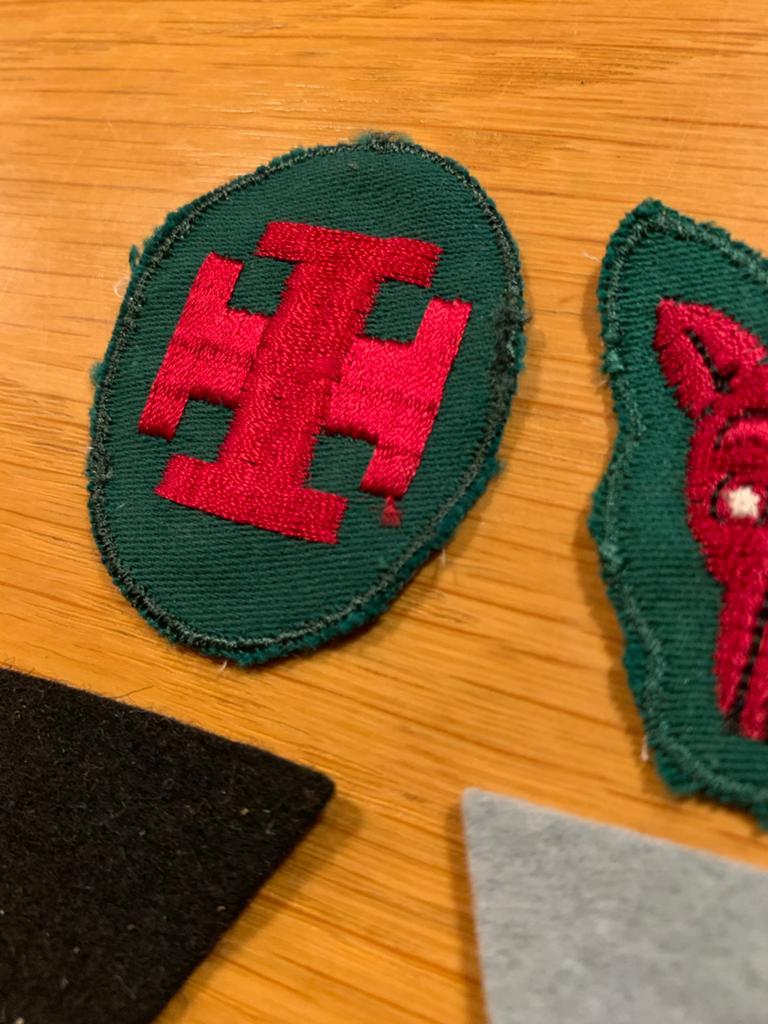 Vintage Scouting Emblemen en Driehoekjes, Ophalen of Verzenden, Zo goed als nieuw, Embleem, Speld of Insigne