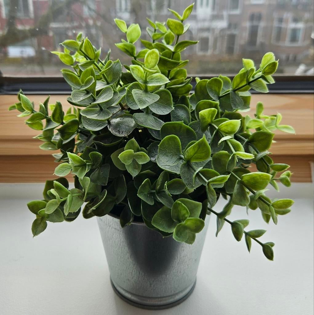 Nep plant buxus 25 cm in silveren potje NIEUW, Ophalen, Binnen, Groen, Onderhoudsvrij