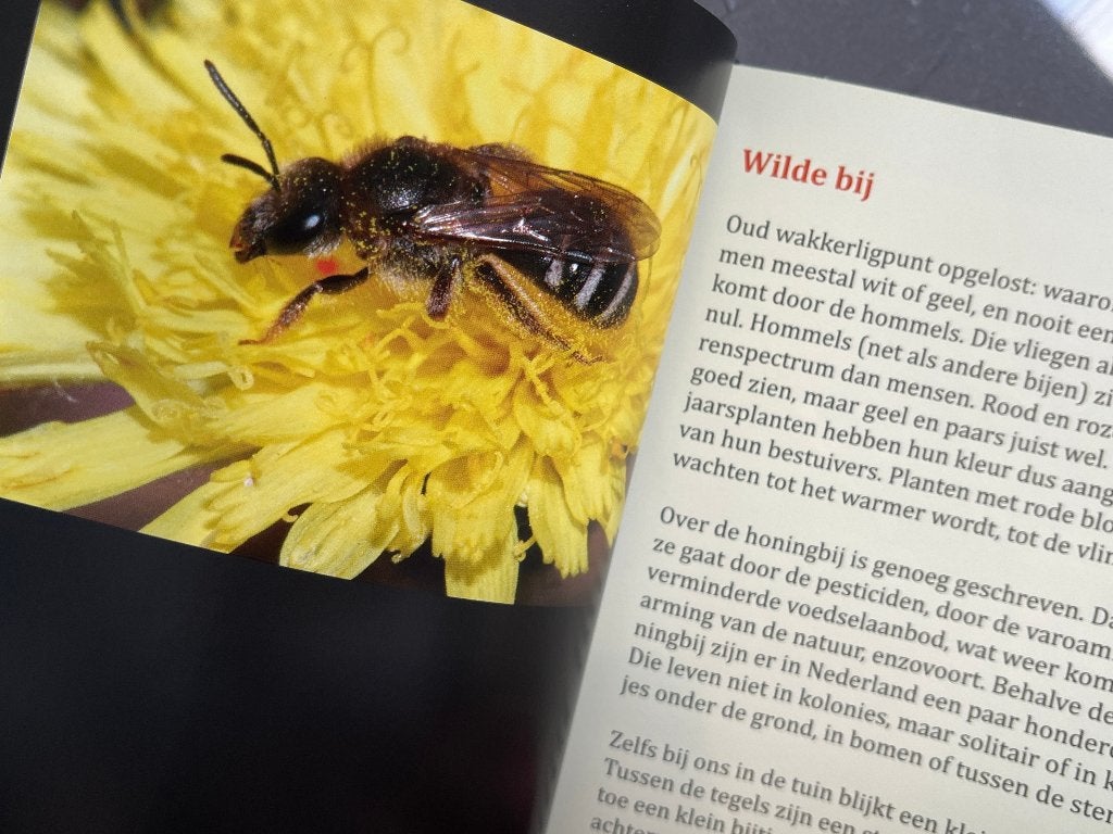 natuur boek, Ophalen of Verzenden, Zo goed als nieuw, Natuur algemeen
