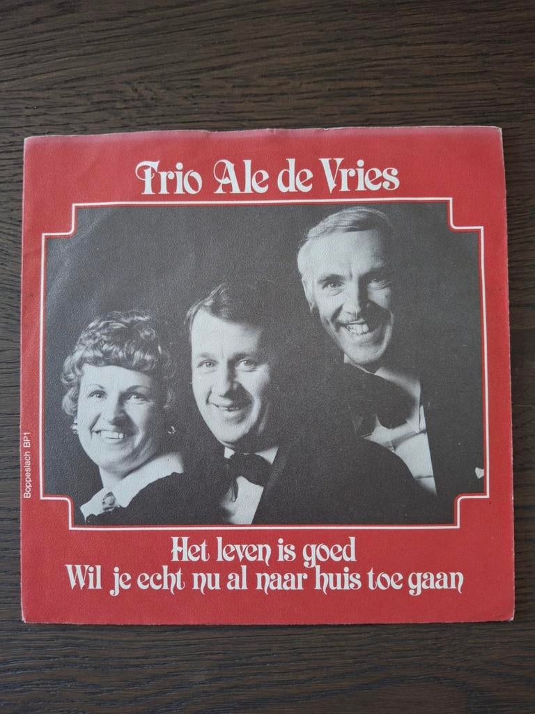 Trio Ale de Vries - Wil je echt nu al naar huis toe gaan, Cd's en Dvd's, Ophalen of Verzenden, Zo goed als nieuw, Nederlandstalig