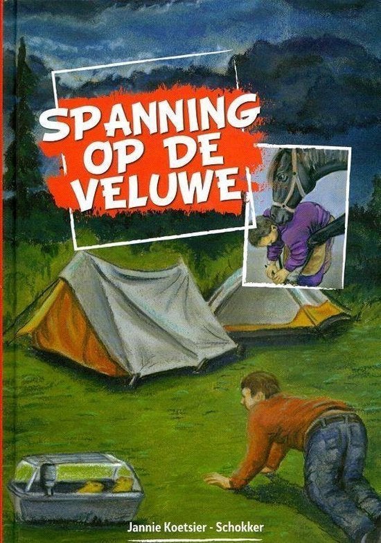 Spanning op de Veluwe J Koetsier-Schokker 9789463350402, Ophalen of Verzenden, Zo goed als nieuw, J Koetsier-Schokker