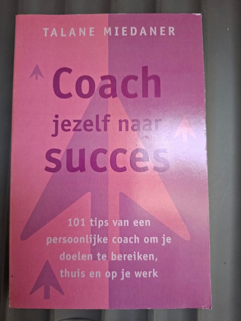 T. Miedaner - Coach jezelf naar succes, Gelezen, Ophalen of Verzenden, Ontwikkelingspsychologie, T. Miedaner