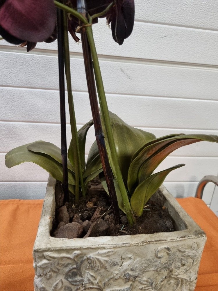 kunstorchidee in grote bloempot, Huis en Inrichting, Woonaccessoires | Kunstplanten en Kunstbloemen, Ophalen of Verzenden, 'T Olde Gre-j