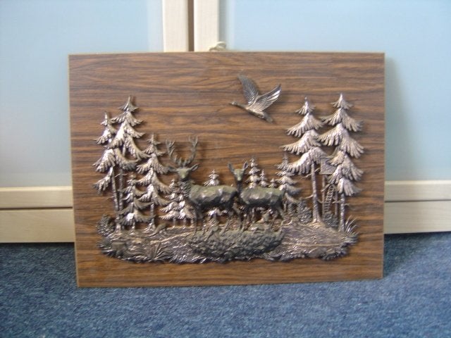 Mooie 3D schilderij Natuur, Ophalen of Verzenden, Zo goed als nieuw, Minder dan 50 cm, Schilderij