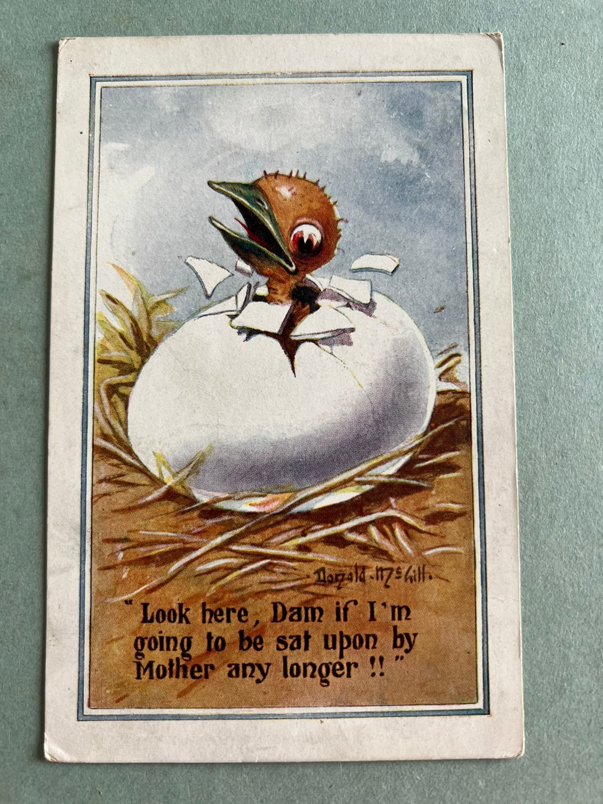 1917 Kuiken komt uit ei, Ophalen of Verzenden, Voor 1920, Gelopen, Overige thema's