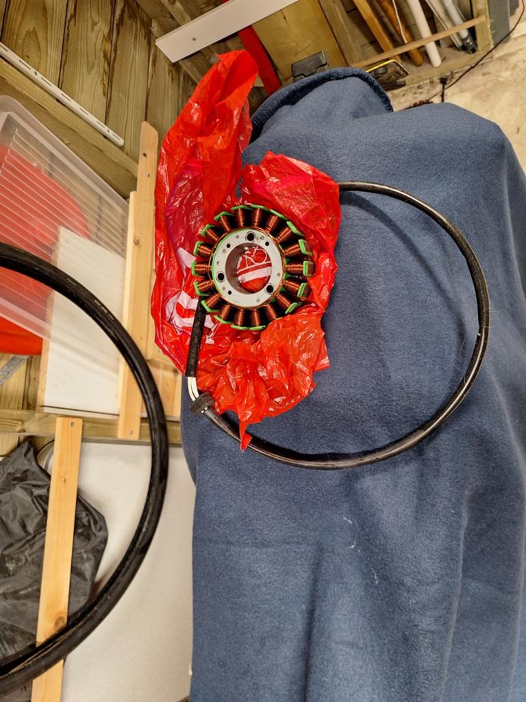 Ducati dynamo nieuw, Motoren, Ophalen of Verzenden, Nieuw