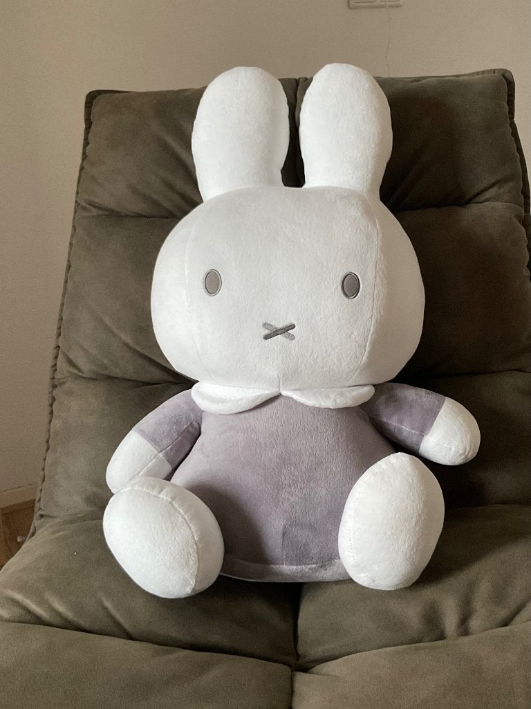 Nijntje knuffel, Ophalen, Nijntje, Met label, Beige