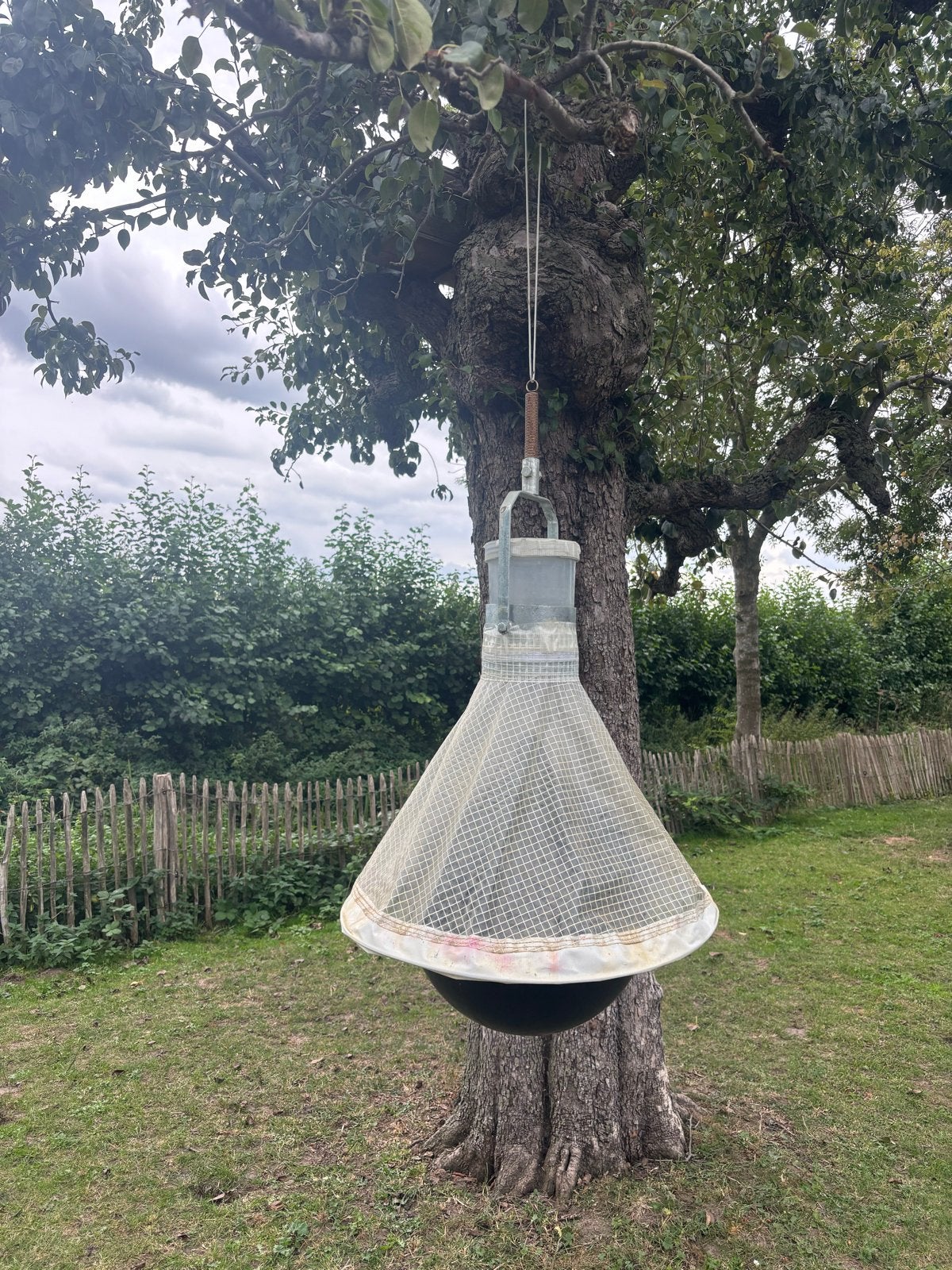 Voss Dazenval