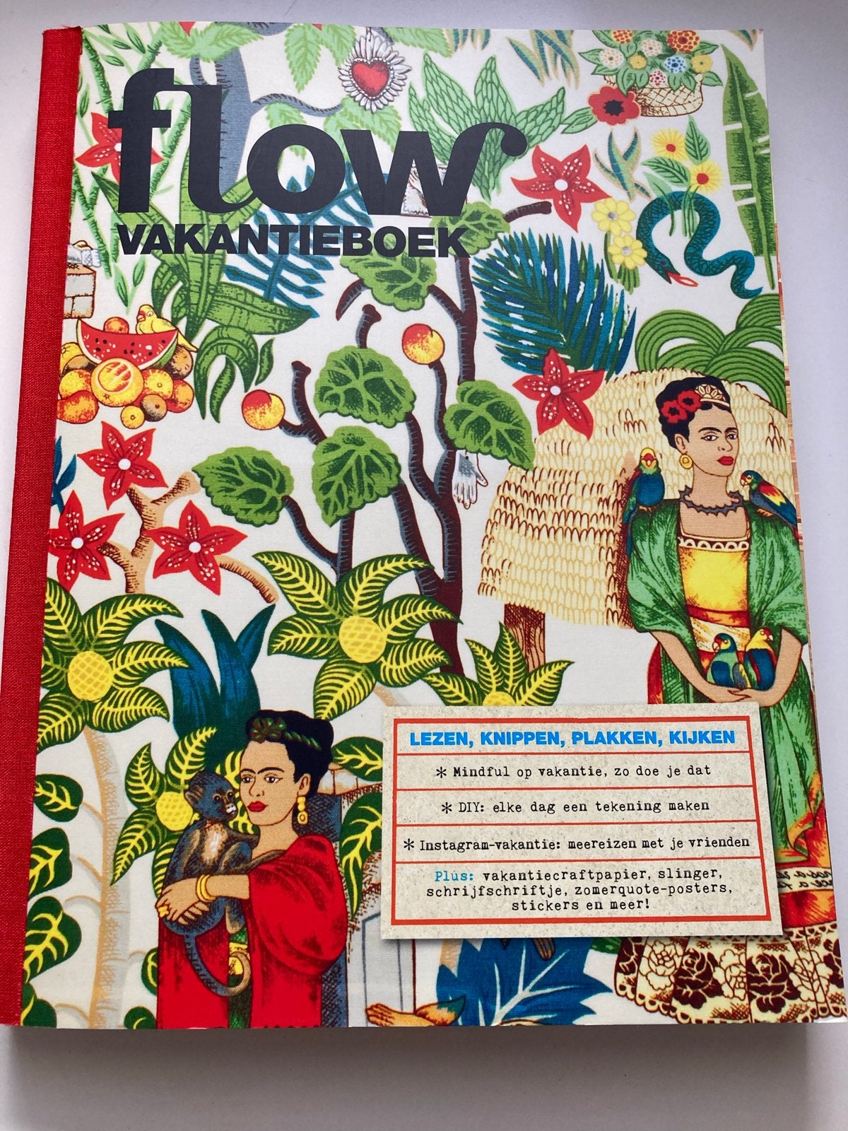 Flow Vakantieboek - Lezen, Knippen, Plakken, Kijken, Ophalen of Verzenden, Zo goed als nieuw, Lichaam en Geest