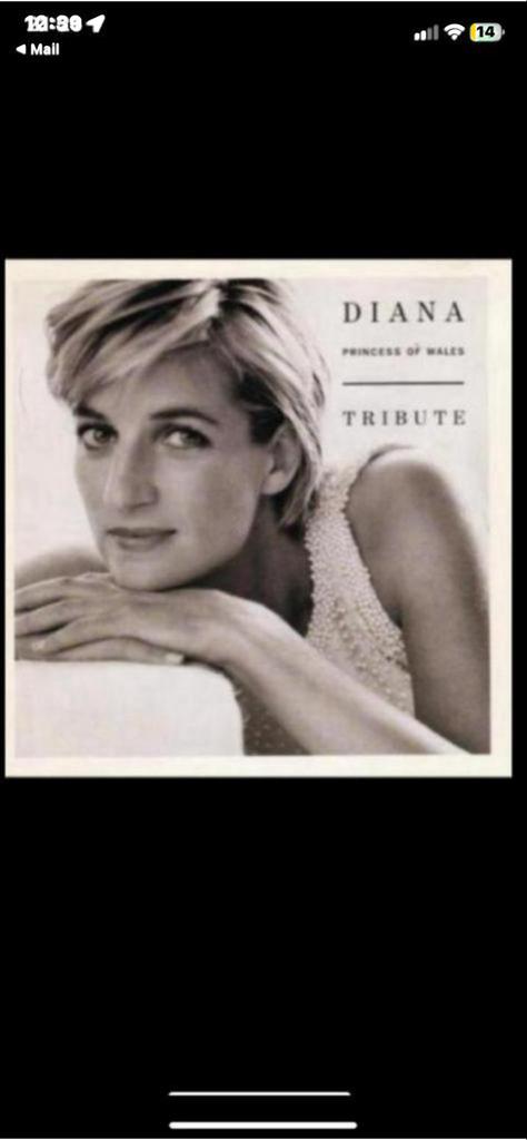 Diana Princess of Wales Tribute CD, Ophalen of Verzenden, Gebruikt, Pop