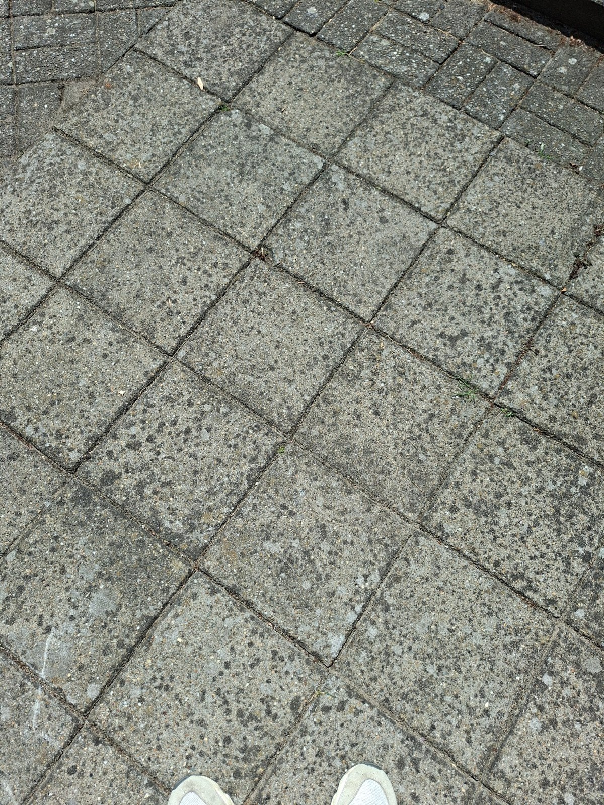 Gratis op te halen stoeptegels 100 stuks, Ophalen, Gebruikt, Beton, Terrastegels