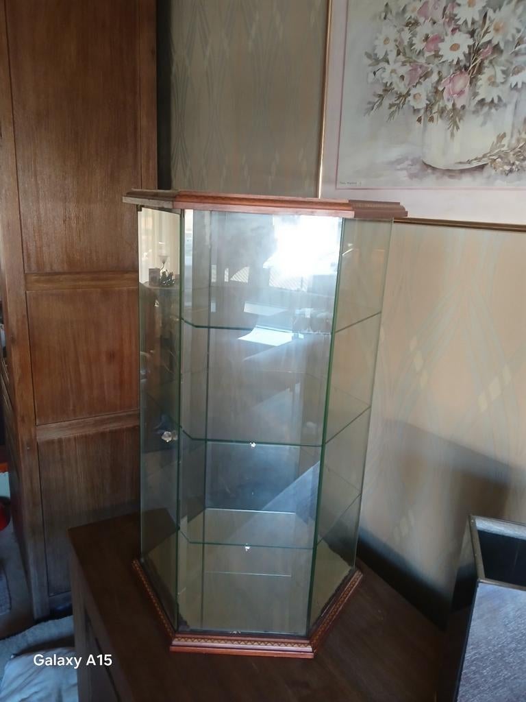 Rosenthal Collection Vitrine Carousel Swarovski, Huis en Inrichting, Kasten | Vitrinekasten, Ophalen, Met plank(en), Minder dan 50 cm
