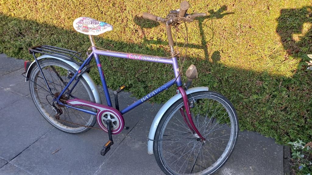 Herenfiets Batavus Cyclone, Ophalen, Gebruikt, Batavus, Versnellingen