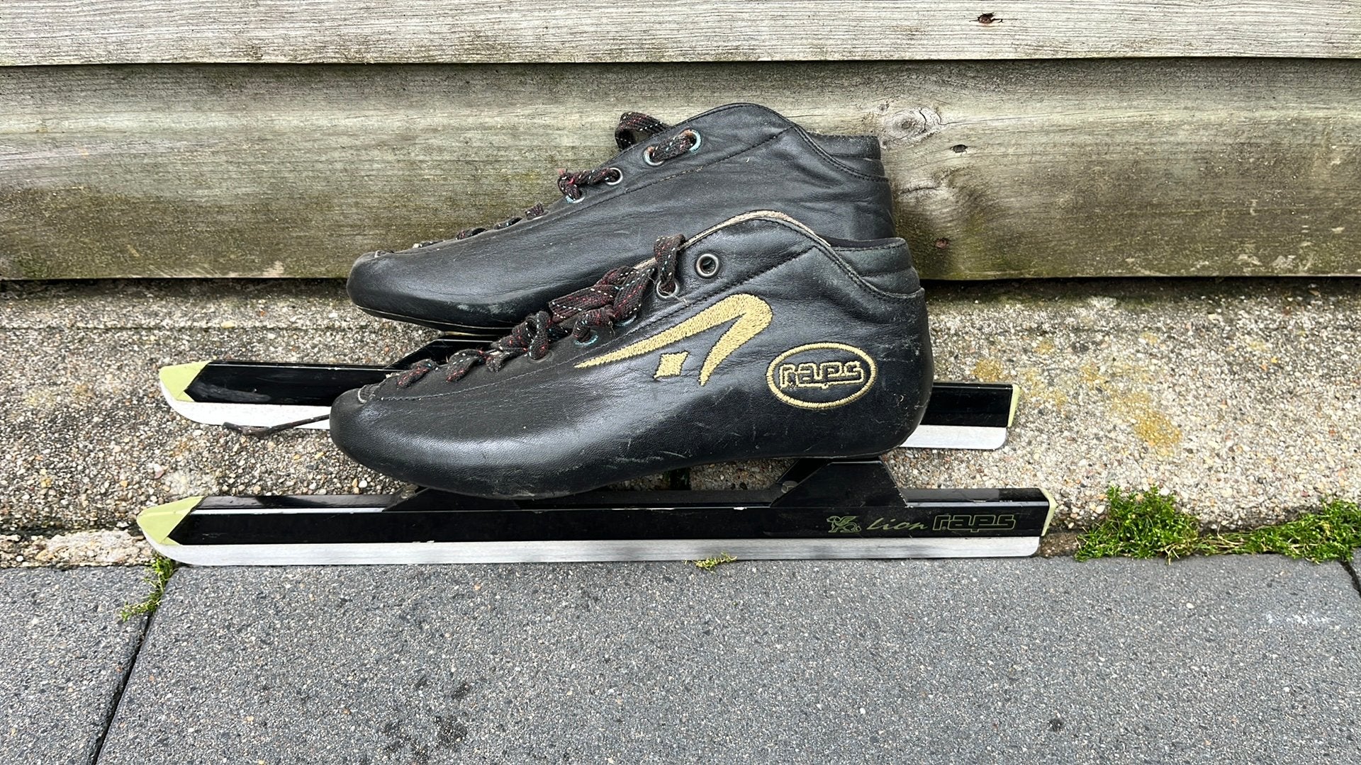 Raps lion maat 42, Sport en Fitness, Schaatsen, Gebruikt, Ophalen of Verzenden, Raps, Noren