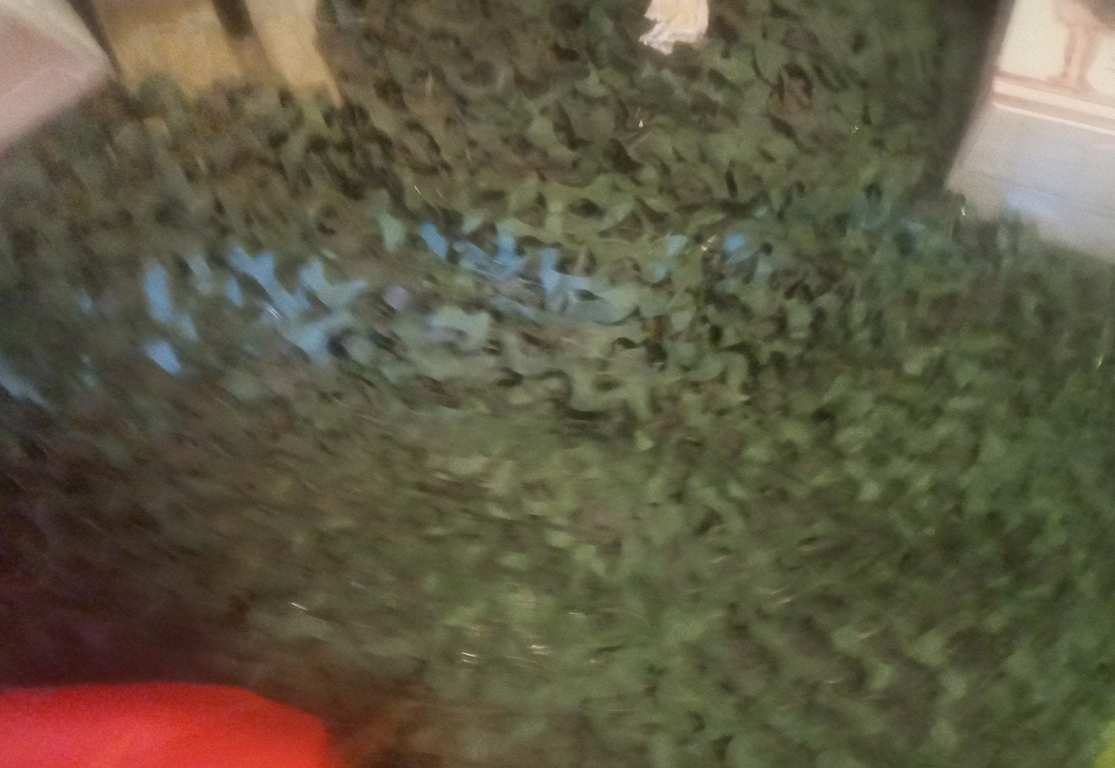 Camouflage doek 6x4m - ook te gebruiken als schaduwdoek, Tuin en Terras, Schaduwdoeken, Ophalen of Verzenden, Zo goed als nieuw