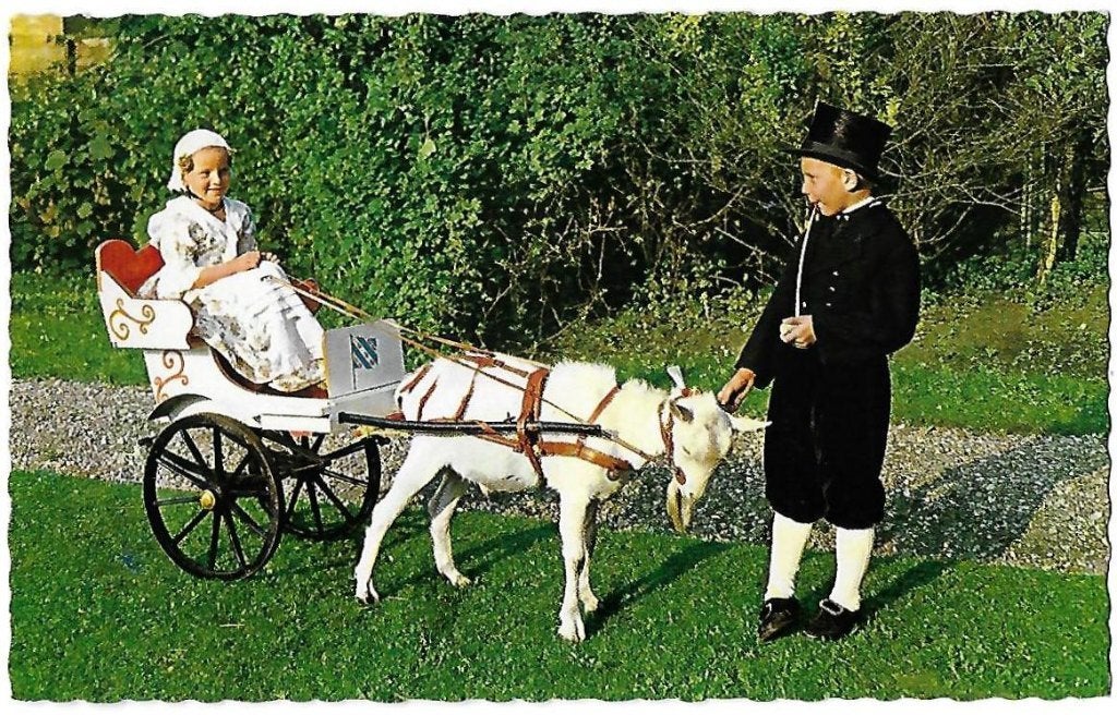 Friesland klederdracht ongelopen ansichtkaart ( b264), Ophalen of Verzenden, 1960 tot 1980, Ongelopen, Friesland