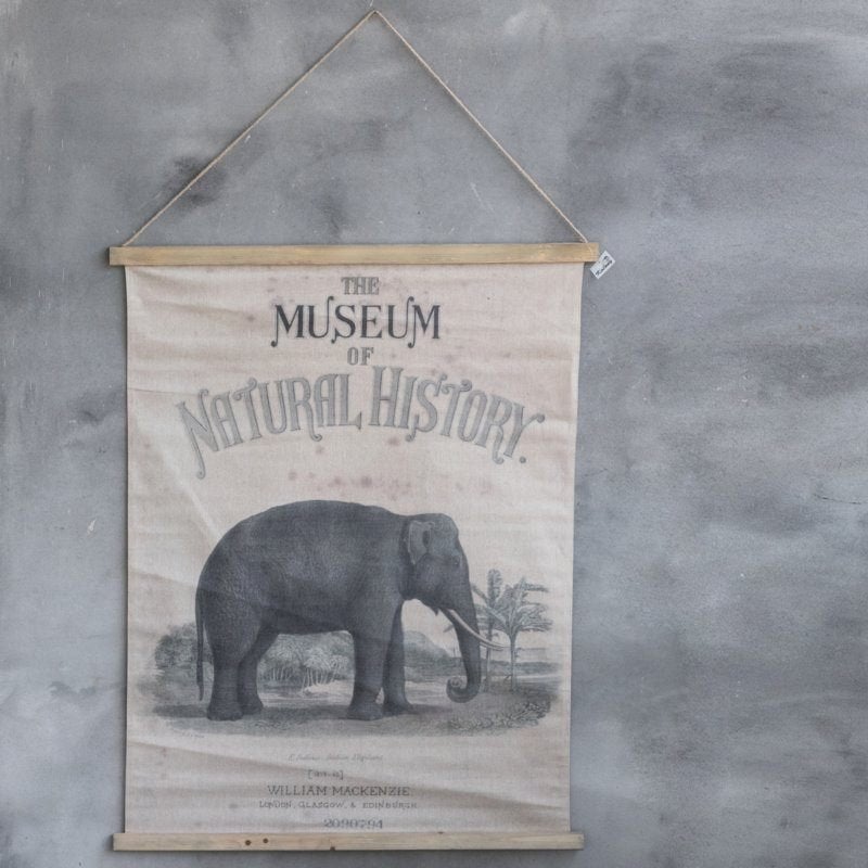 Wandkaart Museum of National History (nieuw), Meerkleurig, Nieuw, Ophalen of Verzenden, 100 cm