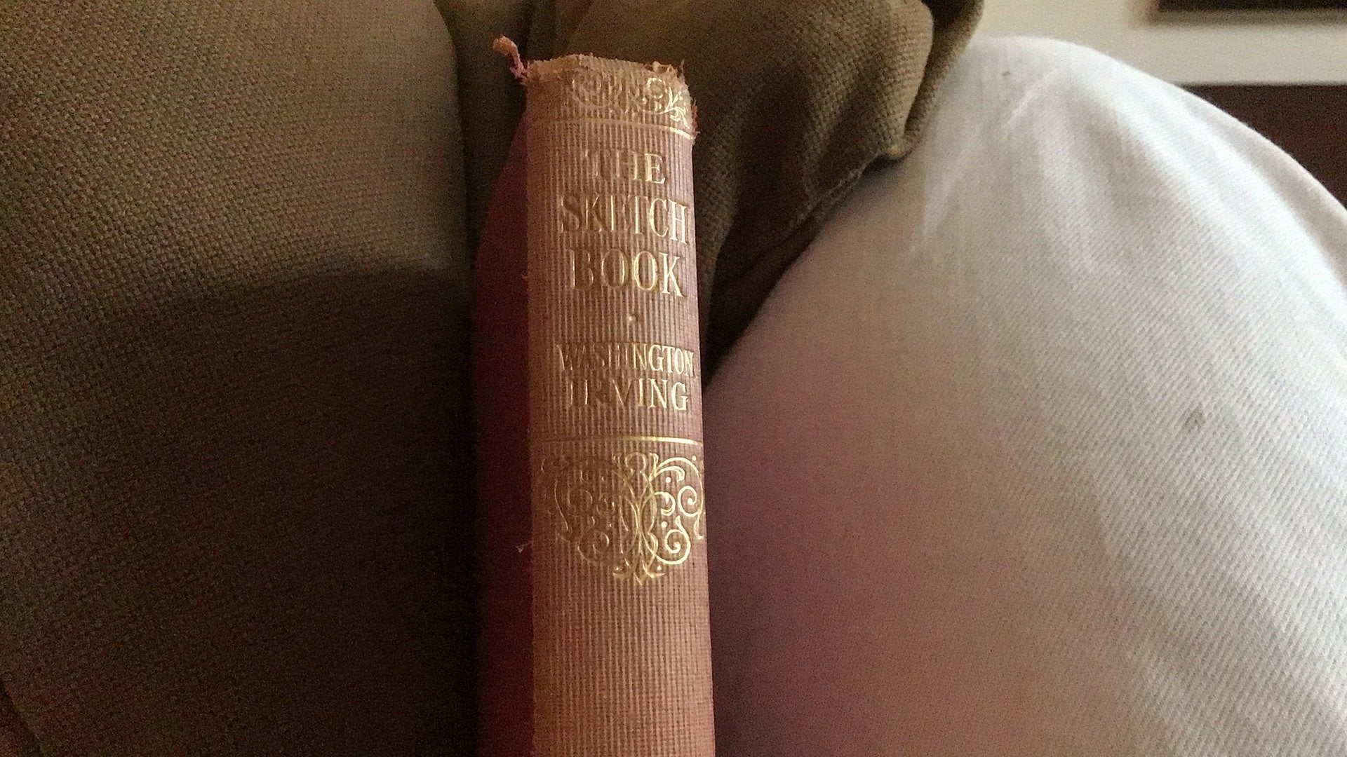The Sketch Book, Ophalen of Verzenden, Gelezen, Europa overig