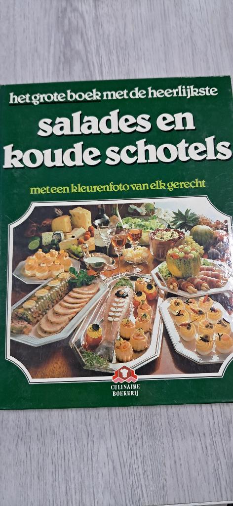 boek met hapjes en koude schotels, Boeken, Kookboeken, Ophalen, Zo goed als nieuw