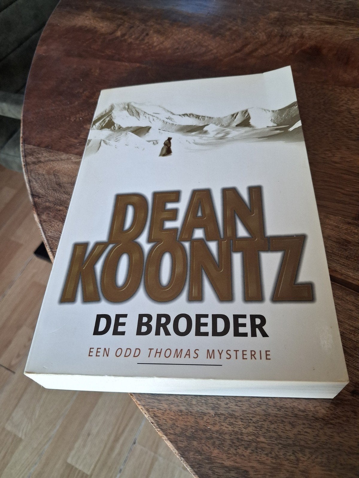 Dean Koontz - De Broeder (Een Odd Thomas Mysterie), Boeken, Ophalen of Verzenden, Gelezen, Dean Koontz, Nederland
