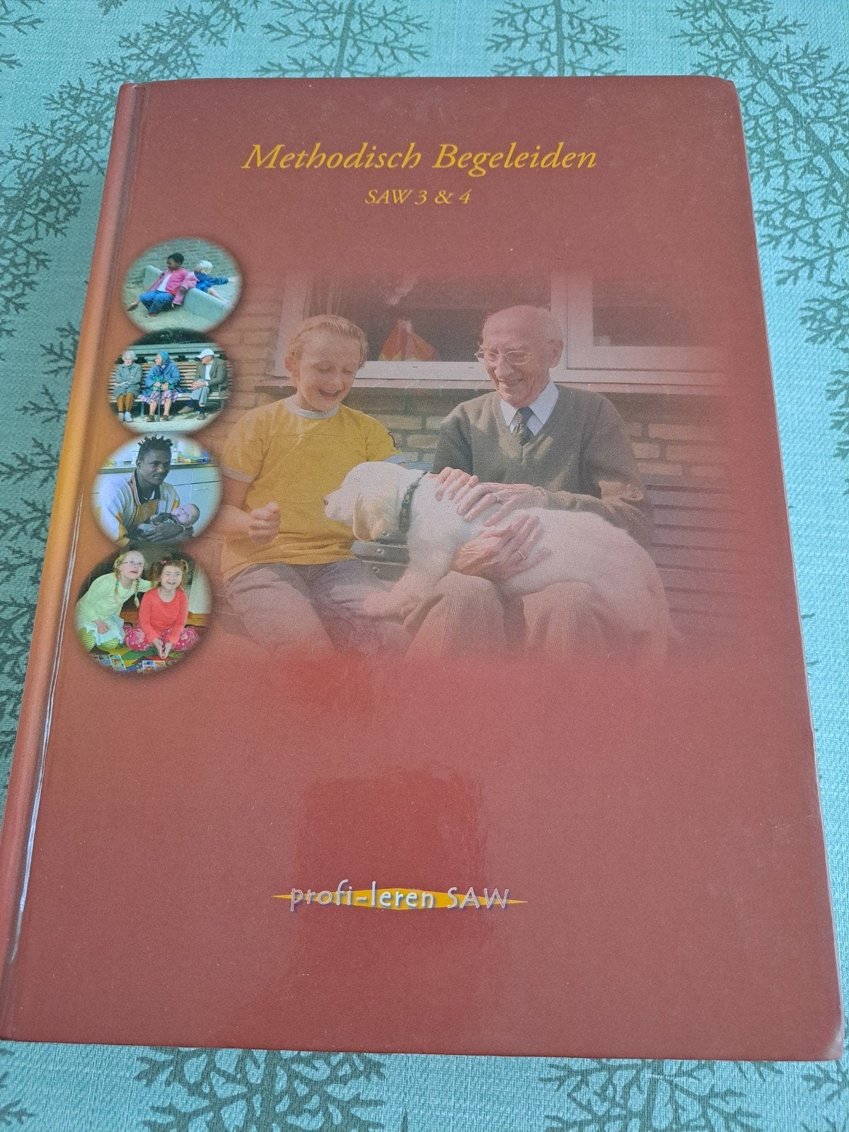 Nieuwe Methodisch begeleiden, Ophalen of Verzenden, Nieuw, Overige niveaus