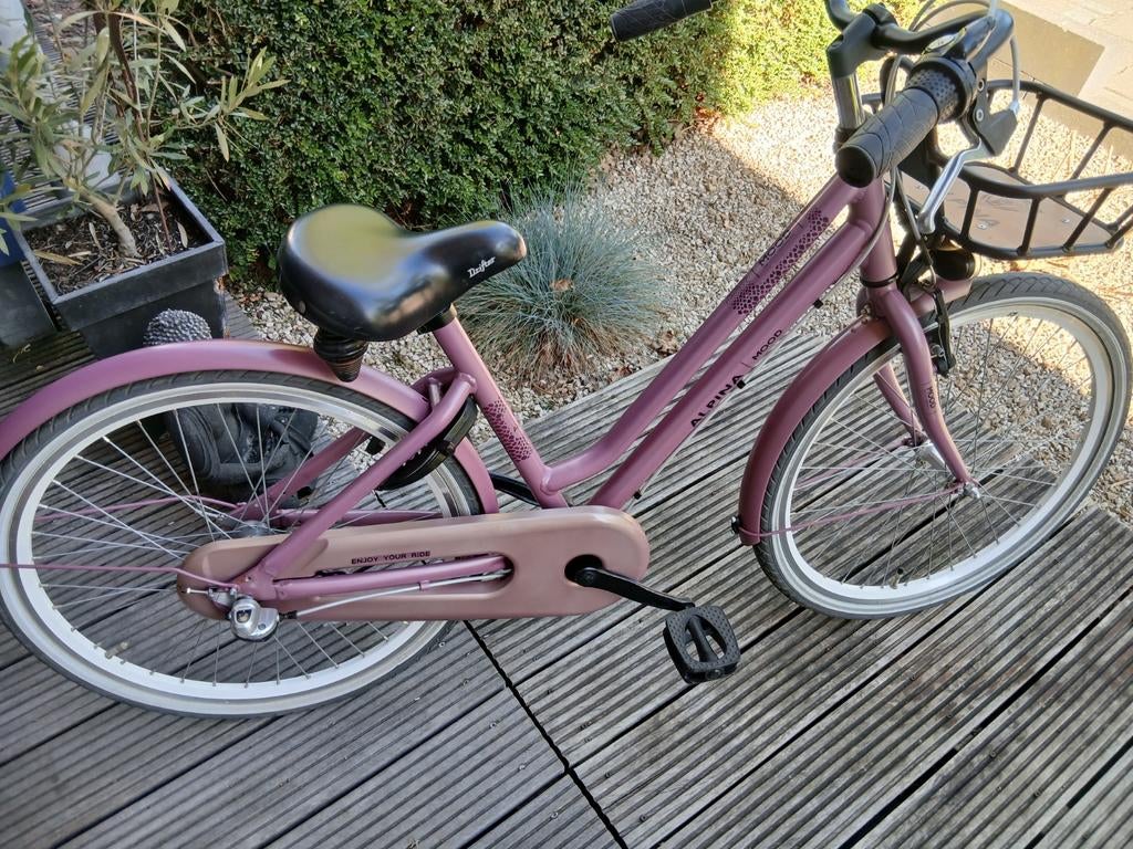 Alpina  mood 24 inch superstaat, Ophalen, Zo goed als nieuw, 24 inch, Versnellingen