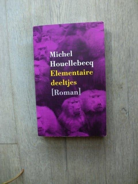 Michel Houellebecq - Elementaire deeltjes, Ophalen of Verzenden, Nieuw
