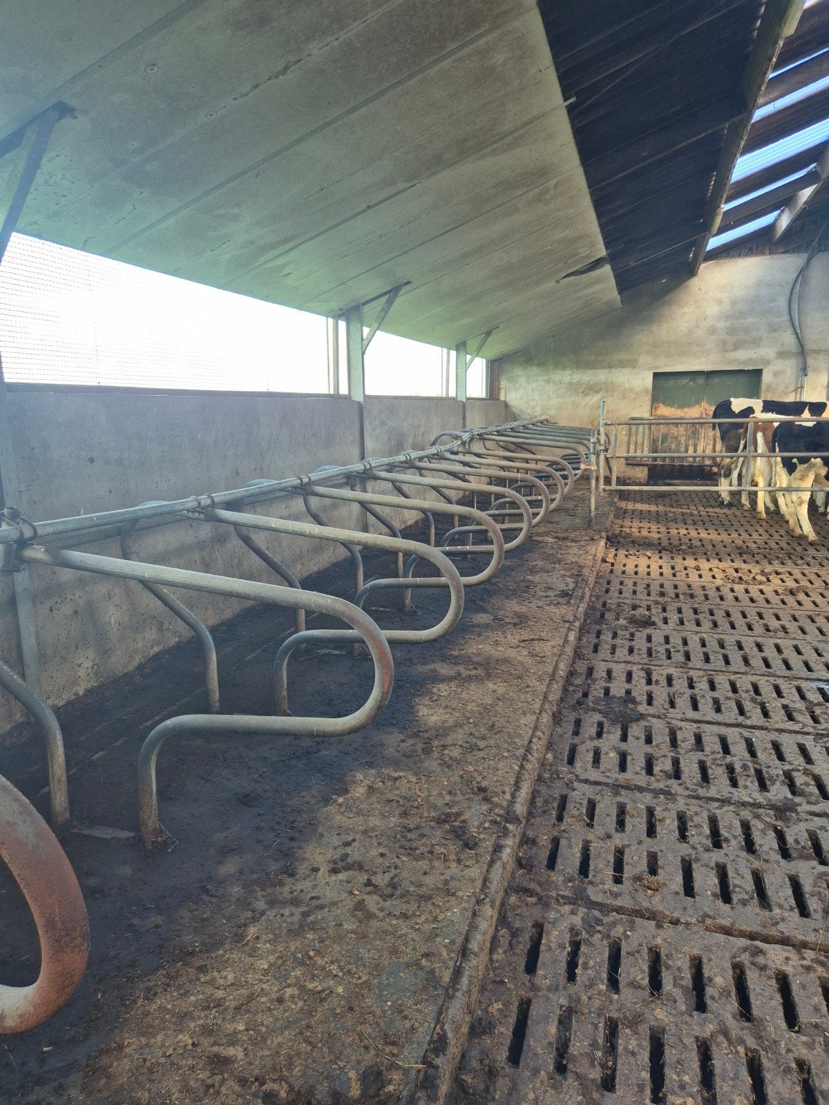 diverse maten r boxsen