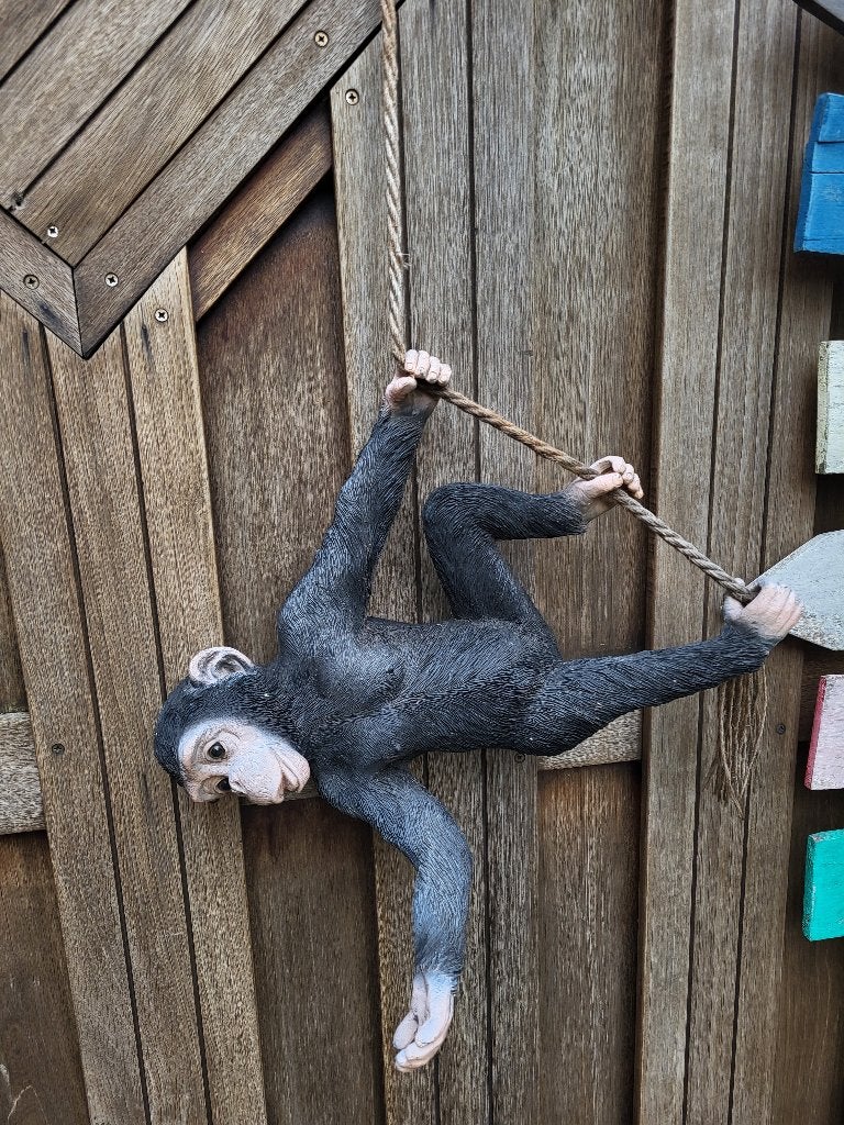 Chimpansee aan een touw, Ophalen, Zo goed als nieuw, Overige materialen, Dierenbeeld