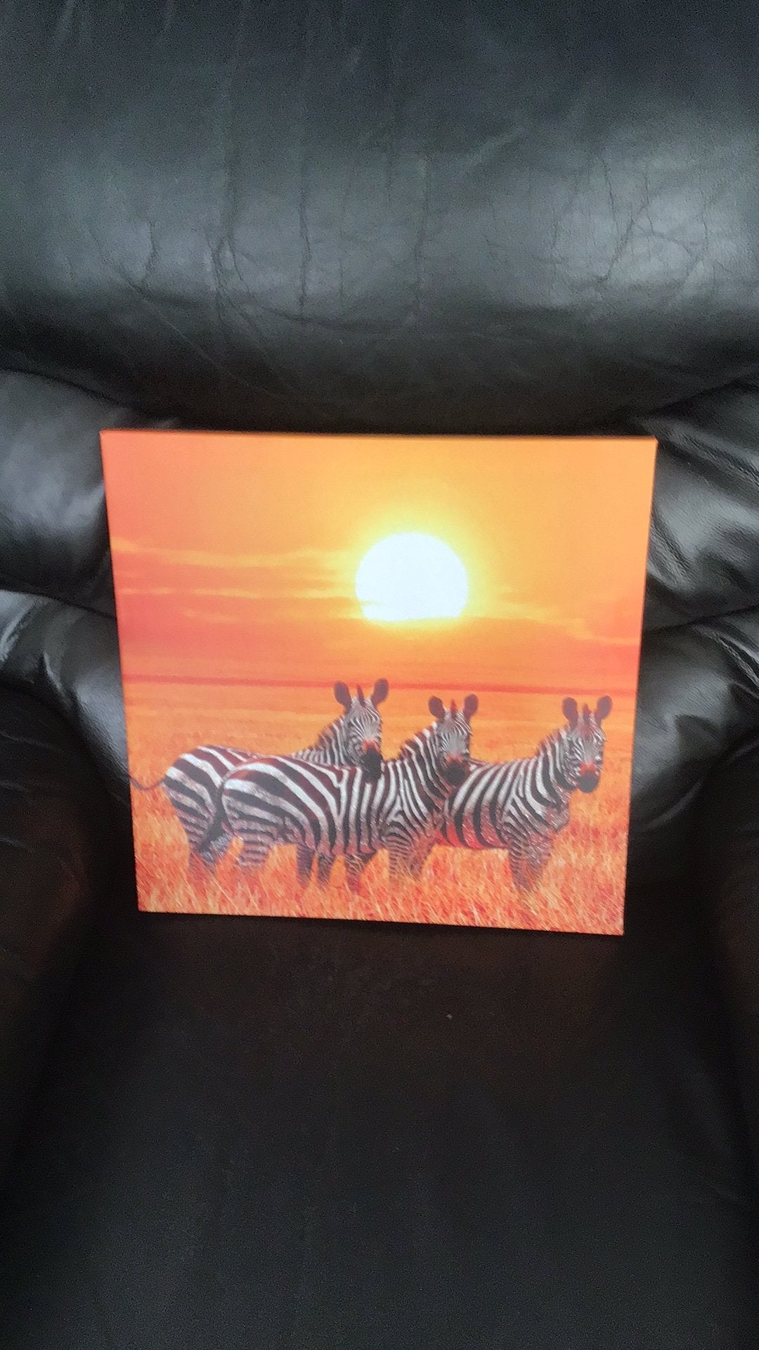 Schilderij zebra’s, Ophalen of Verzenden