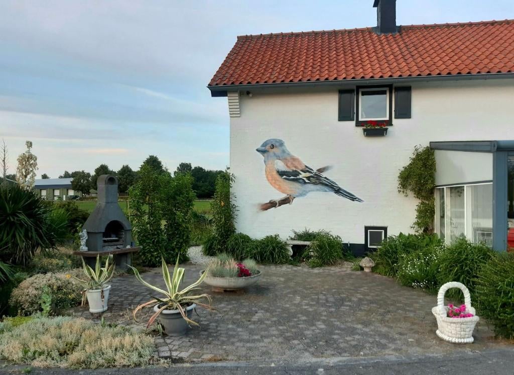 Muurschildering & Graffiti costom murals wall art, Ophalen of Verzenden