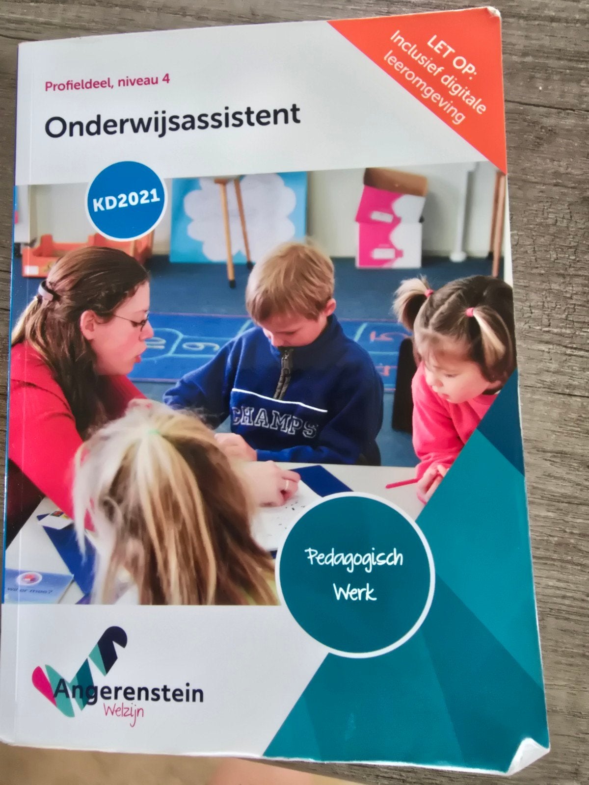 Onderwijsassistent Profieldeel Niveau 4 KD2021, Ophalen of Verzenden, Zo goed als nieuw, MBO, Angerenstein Welzijn