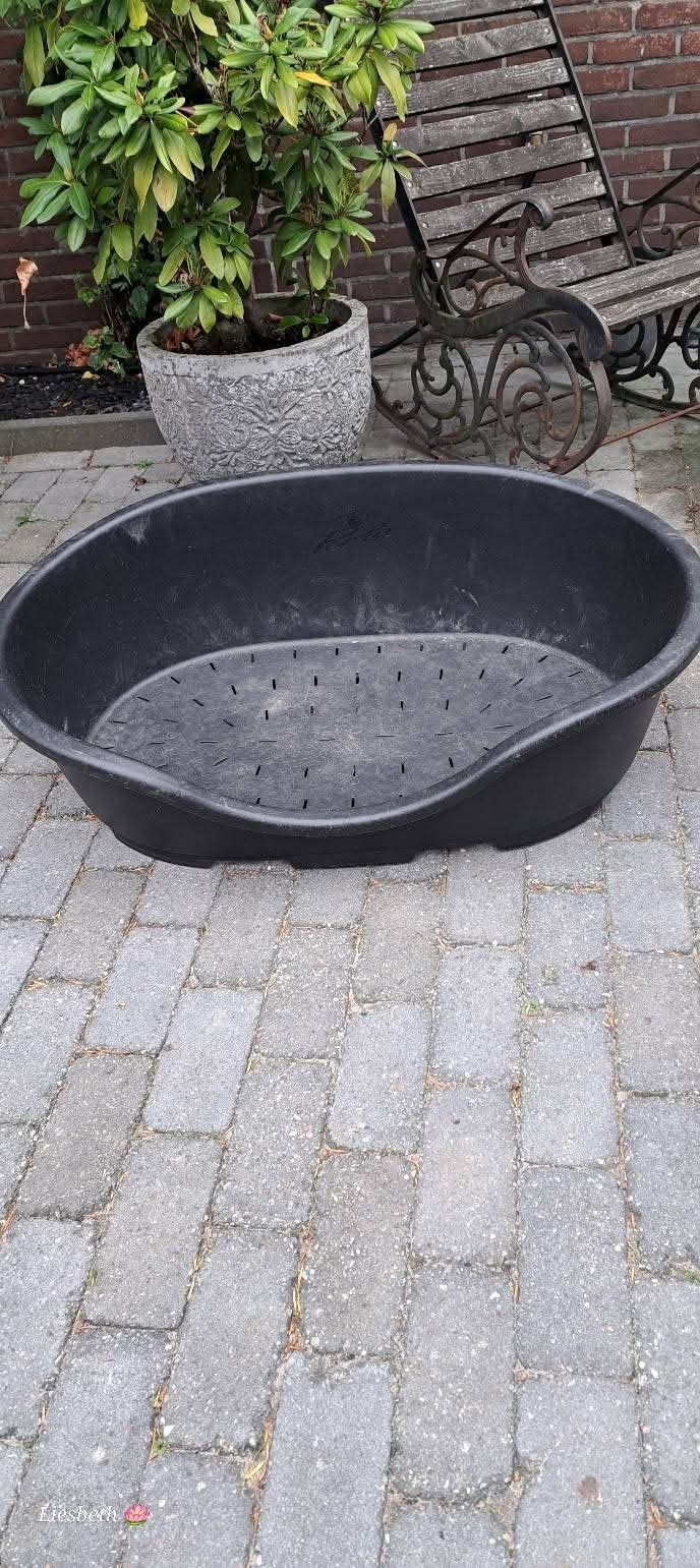 Hondenmand voor grote hond, Ophalen, Gebruikt, Overige