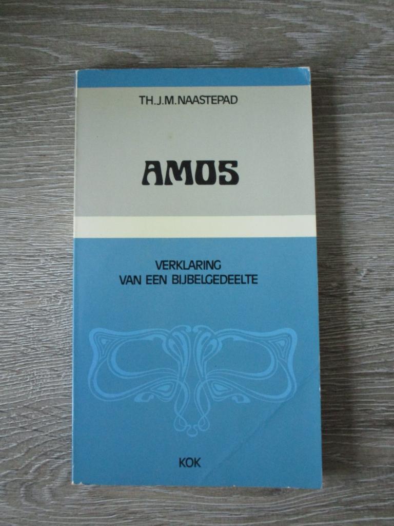 Amos; Verklaring van een bijbelgedeelte - Th. J.M. Naastep, Ophalen of Verzenden, Gelezen