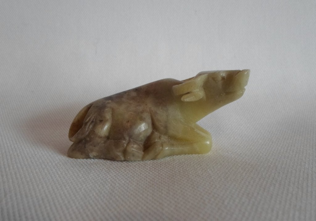 Buffel Jade, Ophalen of Verzenden, Zo goed als nieuw, Dier