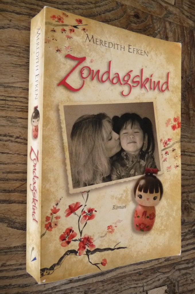 Zondagskind - Meredith Efken (christelijke roman), Ophalen of Verzenden, Zo goed als nieuw