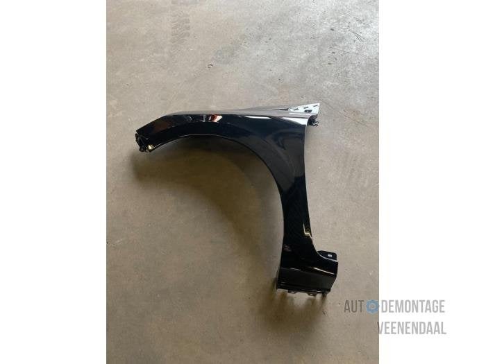 Scherm links-voor van een Renault Clio (TEGNE), -, Renault, -, Nieuw
