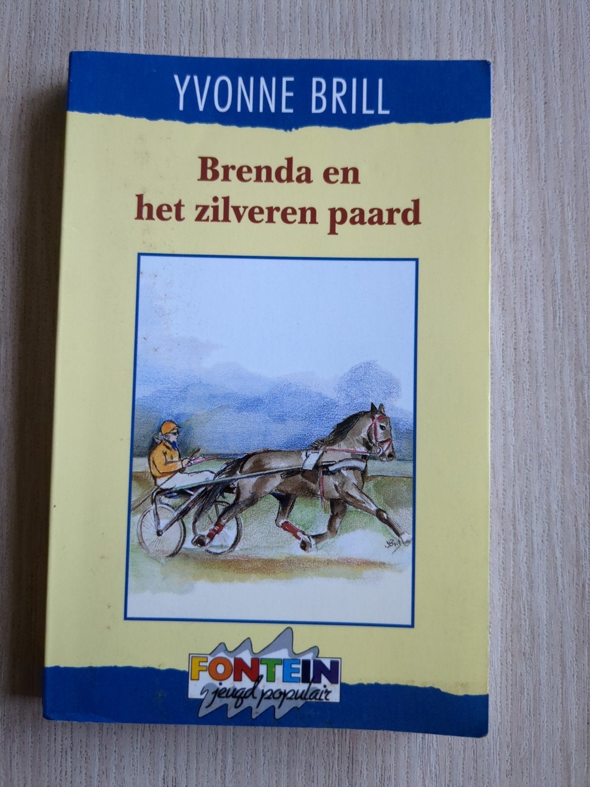 Brenda en het zilveren paard - Yvonne Brill, Ophalen of Verzenden, Gelezen, Yvonne Brill, Fictie algemeen