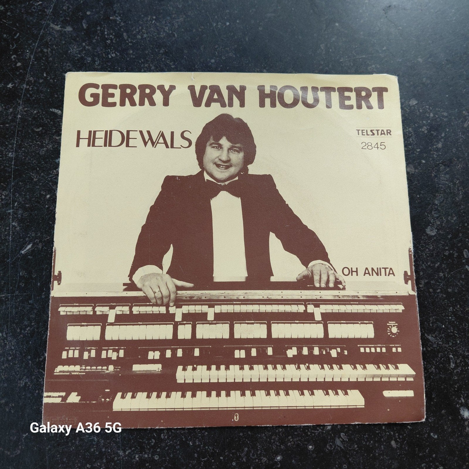 Gerry van Houtert - Heidewals / Oh Anita (Single), Cd's en Dvd's, Ophalen of Verzenden, Gebruikt, Single, Nederlandstalig