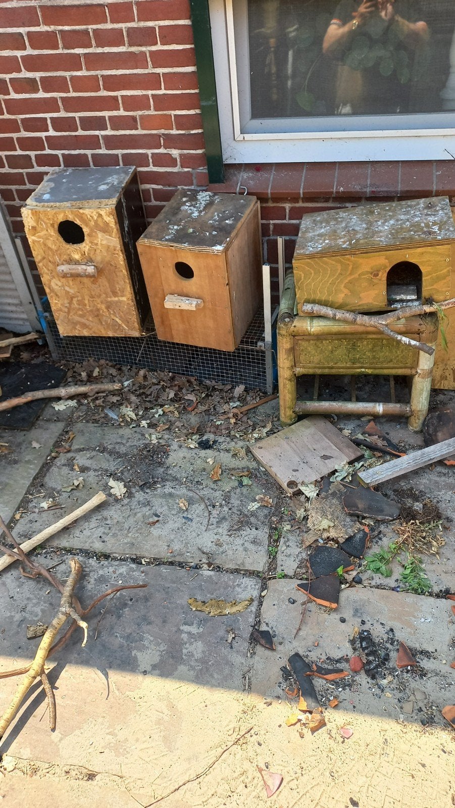 Grote   blokken   voor   gr  parkieten   of papegaaien, Ophalen of Verzenden, Gebruikt